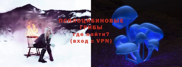 спайс Алзамай