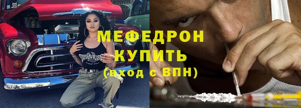 индика Краснослободск