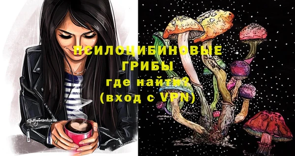 спайс Алзамай